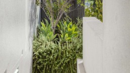 Murray Fredericks Baffsky 360 Landscape Tobias Residence Bondi