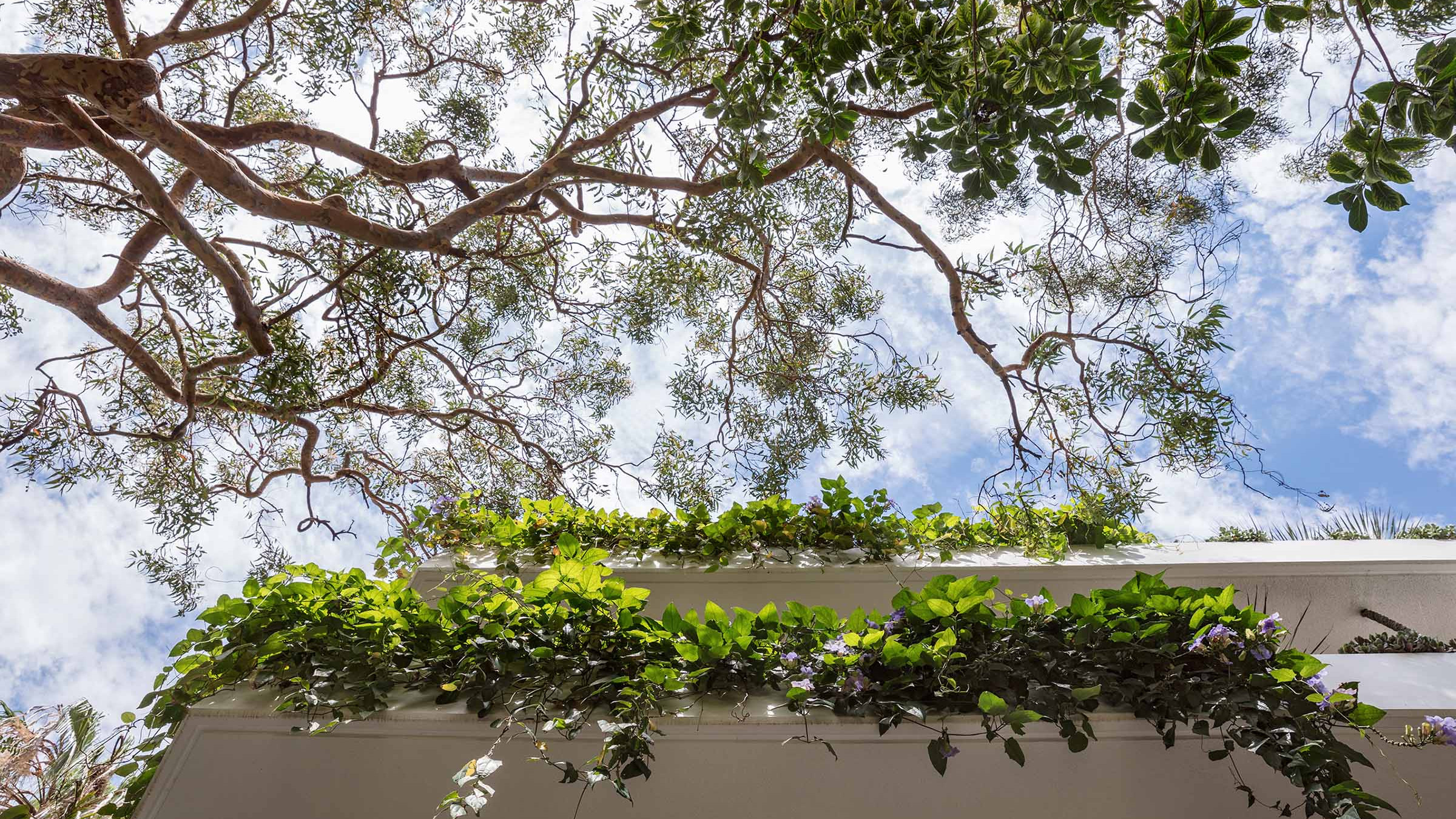 Murray Fredericks Daniel Baffsky 360 Landscape Parsley Bay Residence