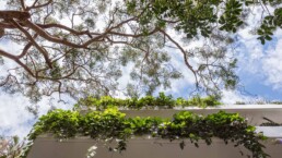 Murray Fredericks Daniel Baffsky 360 Landscape Parsley Bay Residence